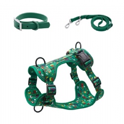 Personalized Pattern Sublimation Print Collar Leash