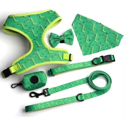 Fancy Accessories Sublimation Dog Harness Set