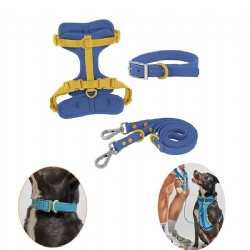 Colorful Personalized Soft Padded Collar Leash