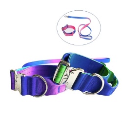 Colorful Gradient Dog collar with Handle