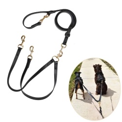 Walking Training Waterproof Double Dog Leash