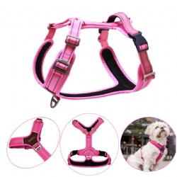 Outdoor Walking Harness For Large Dog