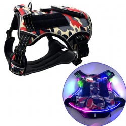 Night Safety Glowing Rechargeable Pet Harness