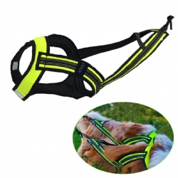 Belt Vest Training Dog Harness